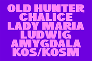 Kaella - Bold Display Font, a Sans Serif Font by Pekotype (Thumbnail 6 of 16)