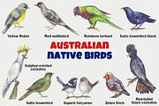 Australian native birds, an Illustration by FITALARTSNEDIGI (Thumbnail 3 of 10)