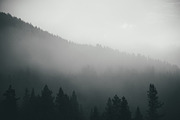 Photo Pack: Blue Forest Fog, a Nature Photo by Gradivis (Thumbnail 3 of 4)