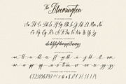 The Bloomington Font, a Script Font by Ivan Rosenberg (Thumbnail 3 of 12)