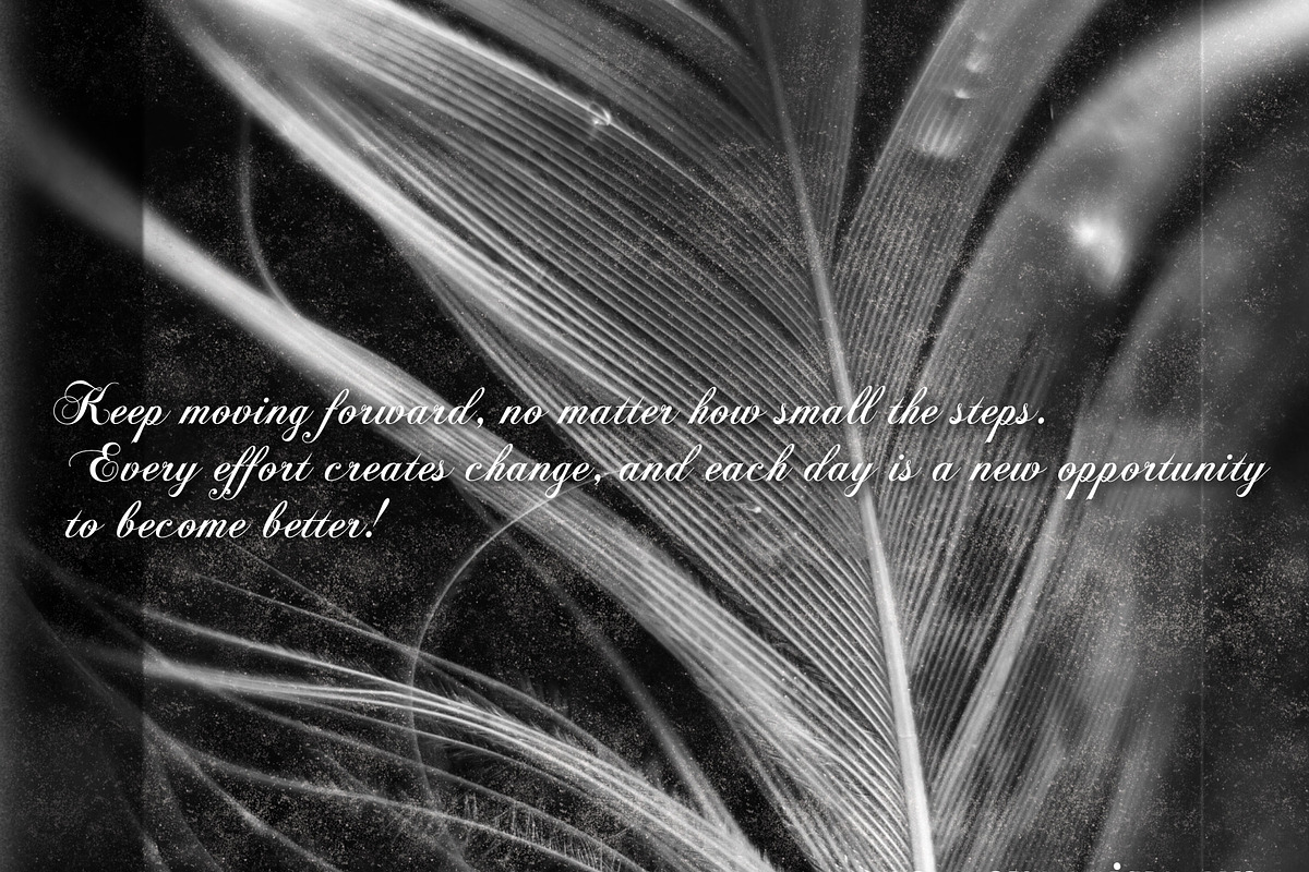 Coelogyne Script - Calligraphy Font, a Script Font by Scandy Font (Photo 2 of 6)