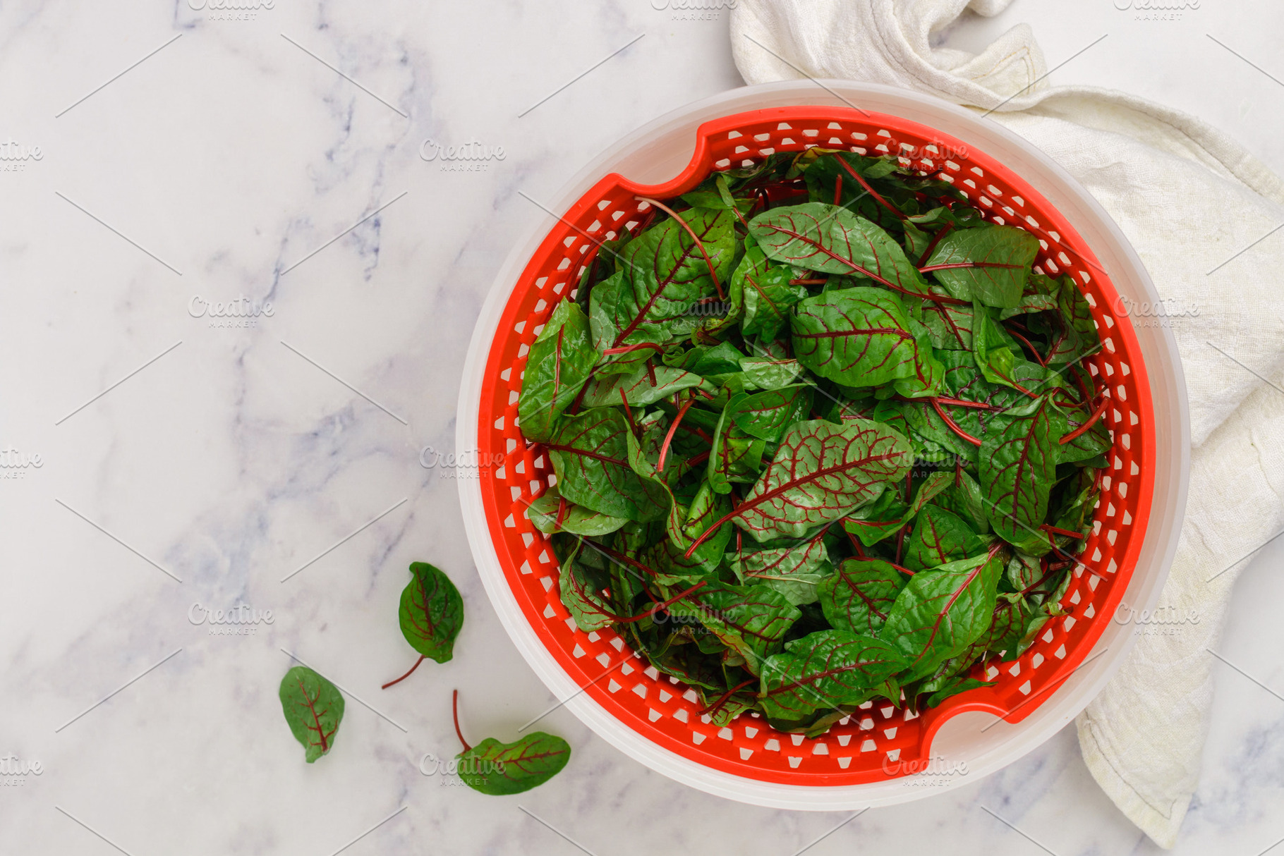 Fresh organic swiss chard leaves, a Food & Drink Photo by La_Vanda