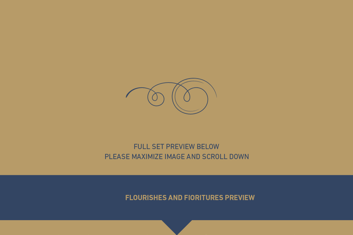 Over 300 Vector Flourishes Elements, an Object Graphic by Damien (Photo 6 of 7)