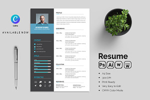 Clean Resume CV