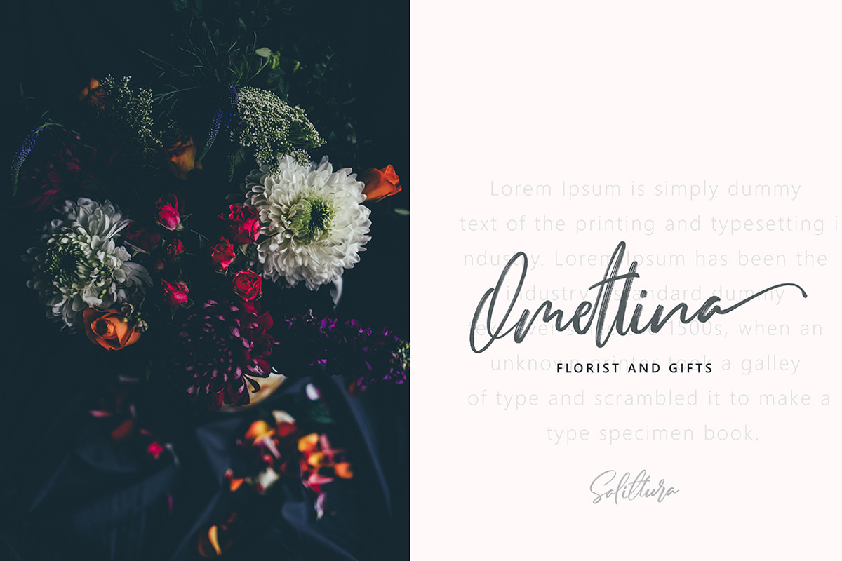 Salittura Brush Script Black Friday preview 2