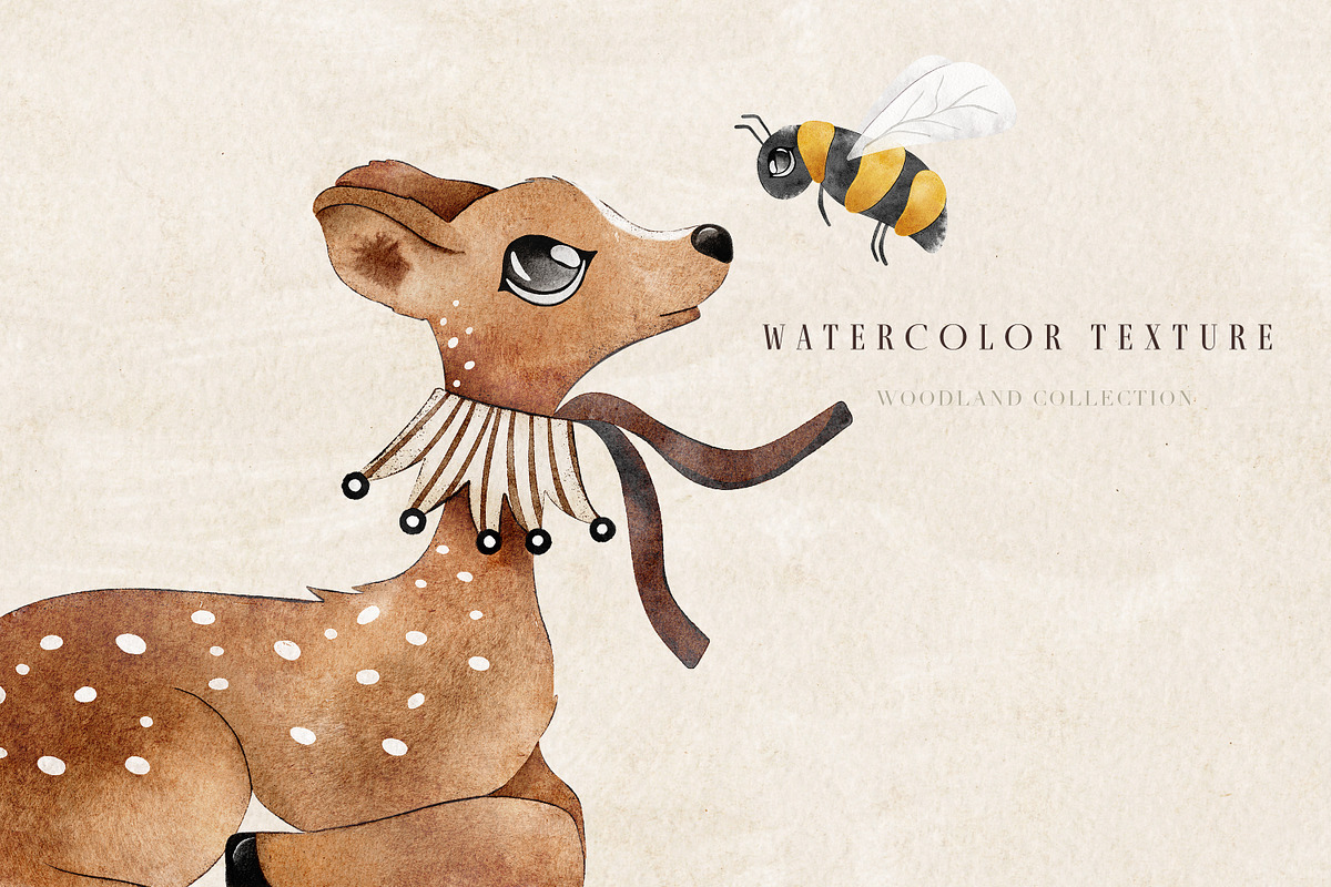 Magic Woodland Friends Collection, an Animal Illustration by Pati Paints (Photo 3 of 19)