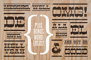 Cayuse Lo-Fi, a Slab Serif Font by William Hastings (Thumbnail 4 of 8)
