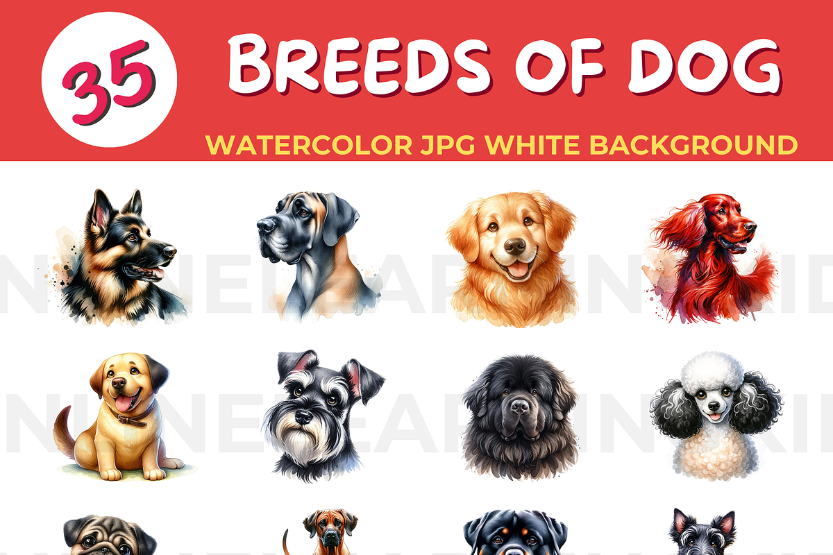 BREEDS OF DOG watercolor JPG white b, an Animal Illustration by John_Walker (Photo 1 of 3)