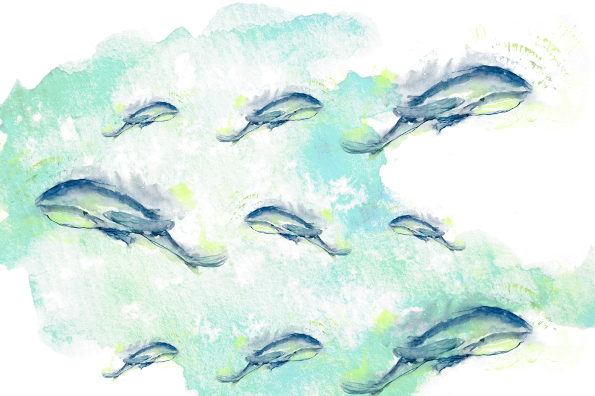 Hand-drawn watercolor whale bundle, an Object Graphic by Natsuhisui (Photo 2 of 9)