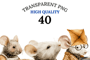40 Autumn Mouse Clipart, an Animal Illustration by Pati Charm Studio (Thumbnail 1 of 9)