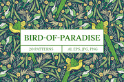 Bird-of-Paradise patterns, a Pattern Graphic by Piñata (Thumbnail 13 of 13)