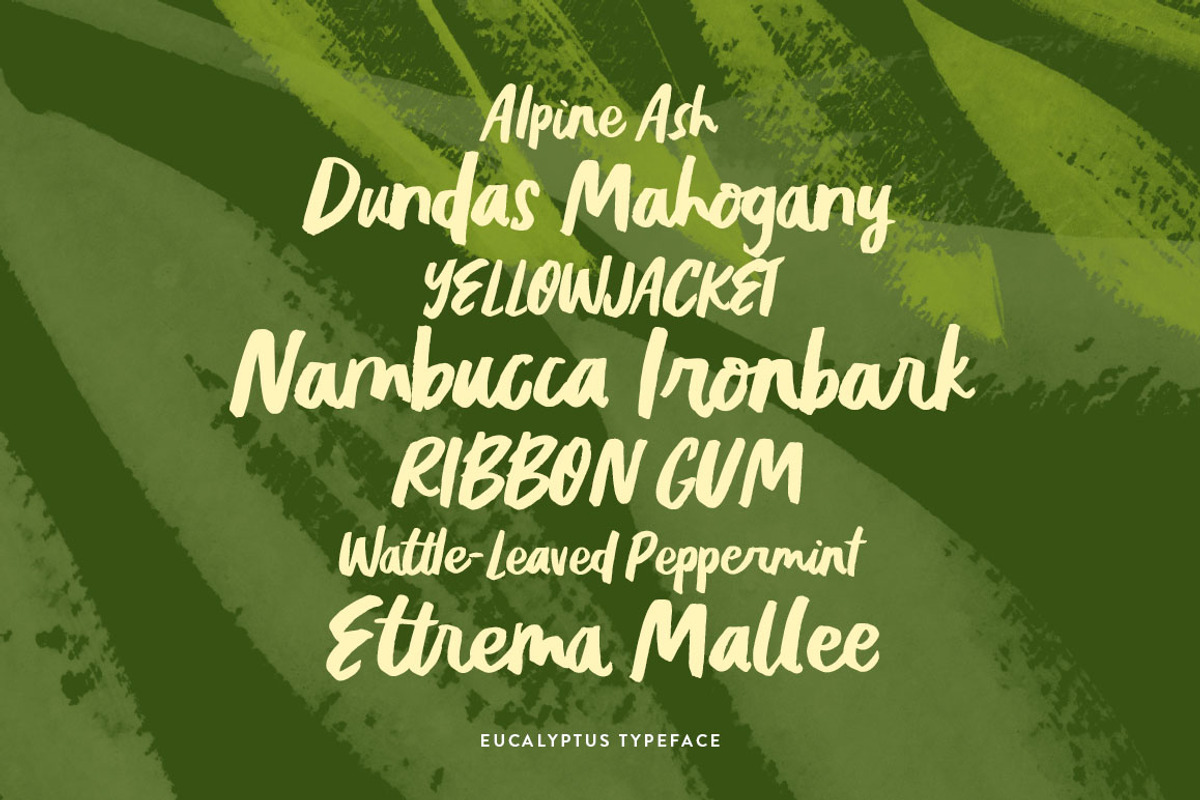 Eucalyptus Brush Script preview 3