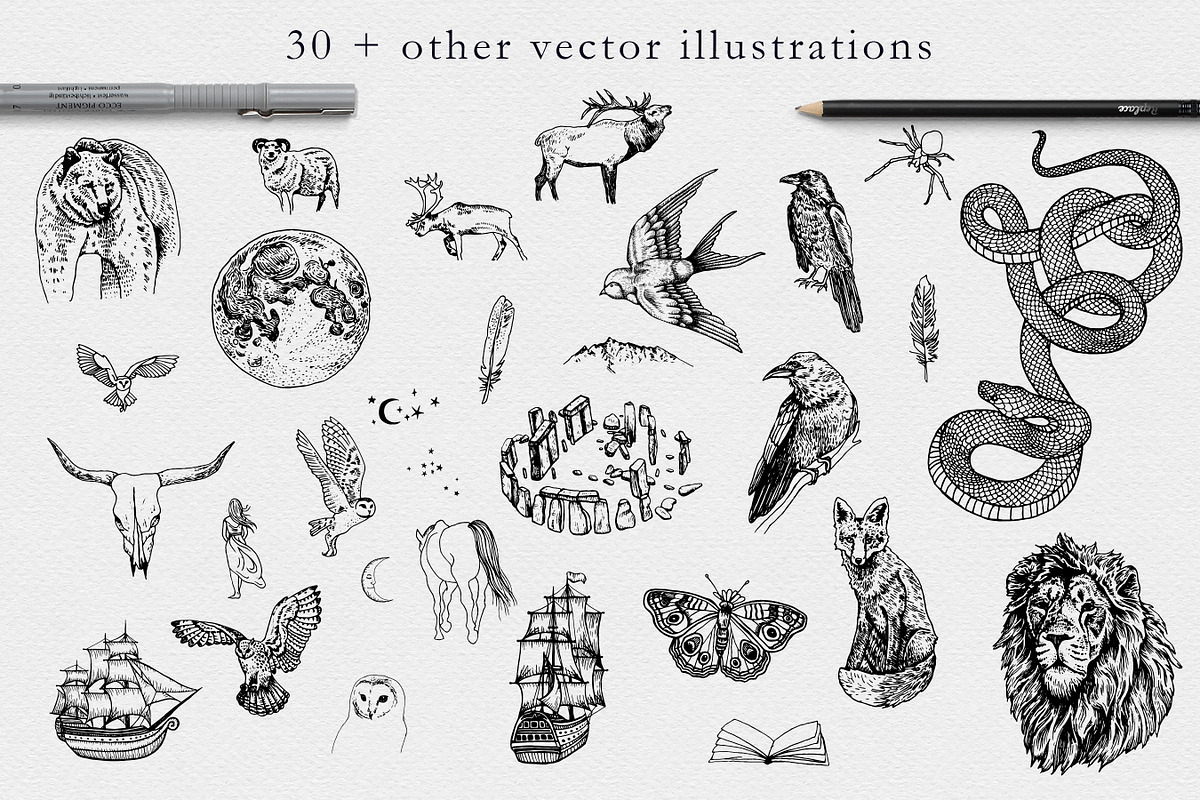Murmurations and Other Magic, a Texture Illustration by Barn Owl Studio (Photo 6 of 16)