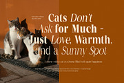 Mentoz Elegant Serif Font Family, a Serif Font by Graphicxell (Thumbnail 6 of 10)
