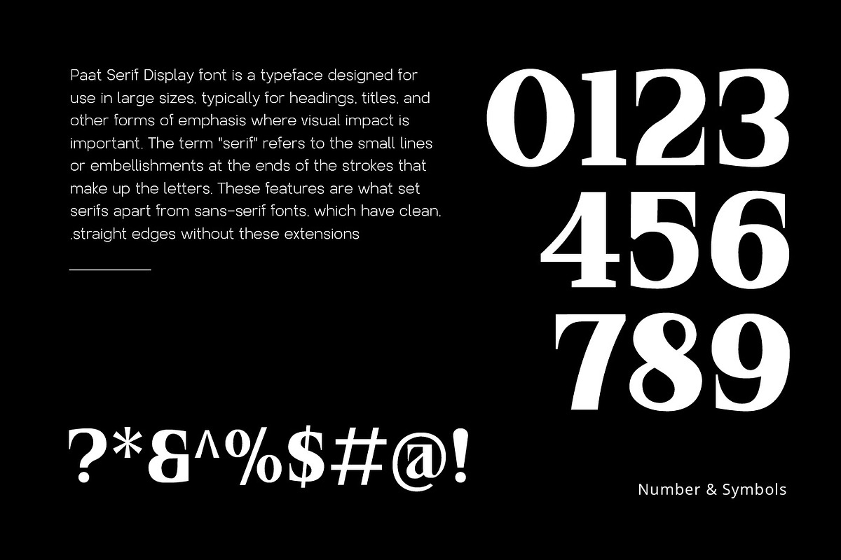 PAT Serif Display, a Serif Font by Patria Ari (P4tcreativa) (Photo 4 of 5)
