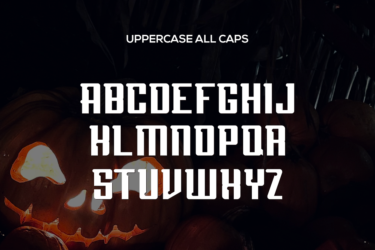 Pradeons, a Serif Font by riotama85 (Photo 3 of 5)