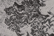 Twisted by Nature Vol 1, a Texture Graphic by Jennifer Lauren Creative (Thumbnail 11 of 19)