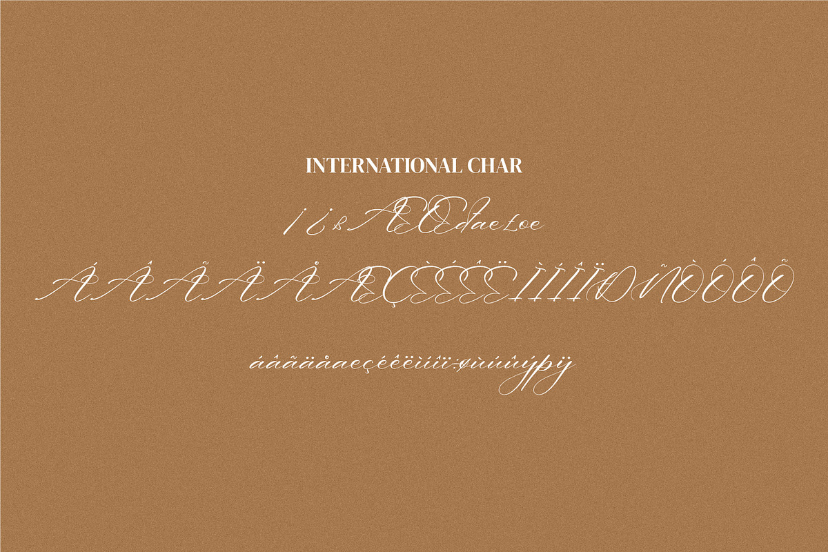 Andaeni, a Script Font by Integritype Studio (Photo 10 of 11)