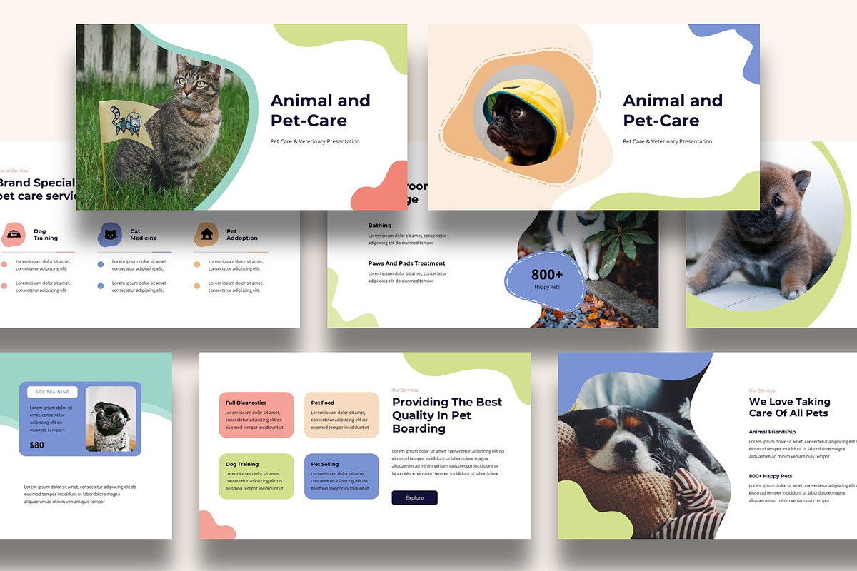 Animal and Petcare Presentation preview 4