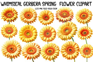 Whimsical gerbera spring Flower, an Illustration by Designworld
