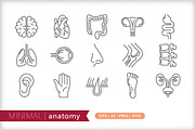 Minimal anatomy icons, an Outline Icon by Picture Window (Thumbnail 1 of 5)