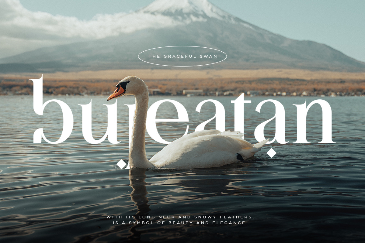 Alhadara | Modern Serif Font, a Serif Font by Pentagonistudio (Photo 3 of 10)