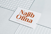 Sunny Oasis Modern Serif font, a Serif Font by Letterena Studios (Thumbnail 6 of 15)
