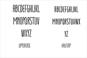 Gelar Narrow Display Typeface, a Sans Serif Font by PeanutButter Type (Thumbnail 3 of 5)