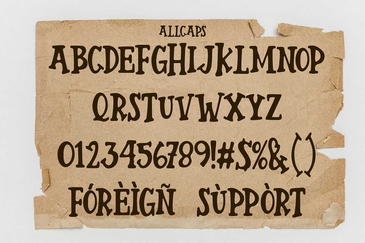 Spinker - Display serif font, a Serif Font by NuType (Photo 6 of 9)