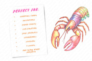 Ocean Clipart Bundle, an Illustration by Watercolor design (Thumbnail 9 of 12)
