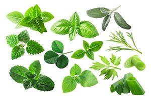 Fresh Herbs