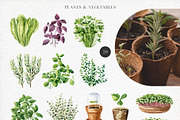 Home Garden watercolor collection, an Illustration by Natalia Fedorova (Thumbnail 4 of 10)