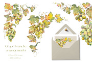 Watercolor Grapes Clipart Set, a Food Illustration by Jeanna Draw (Thumbnail 6 of 12)