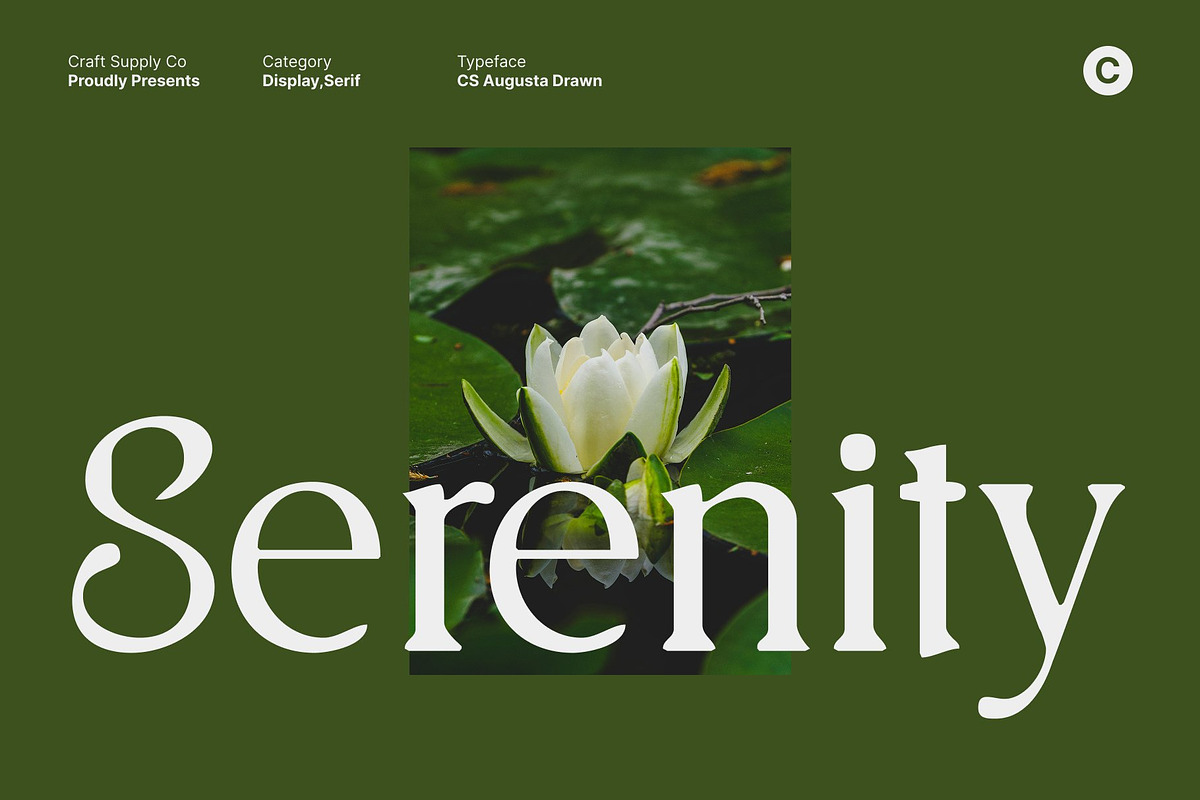 CS Augusta Drawn, a Serif Font by Craft Supply Co. (Photo 6 of 8)