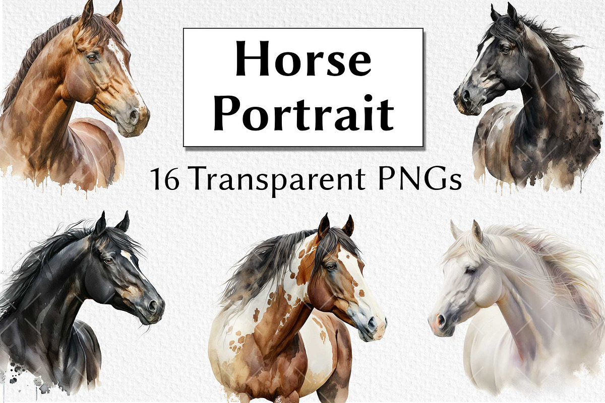 Horse Portrait Watercolor Clipart, an Animal Illustration by milkghost (Photo 1 of 2)