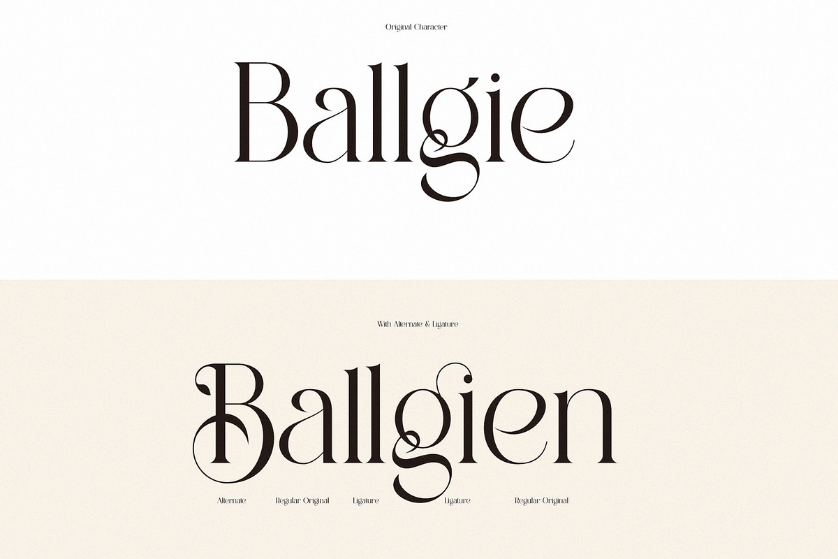 Belgia Elegant Ligature Serif, a Serif Font by Alfinart (Photo 2 of 8)