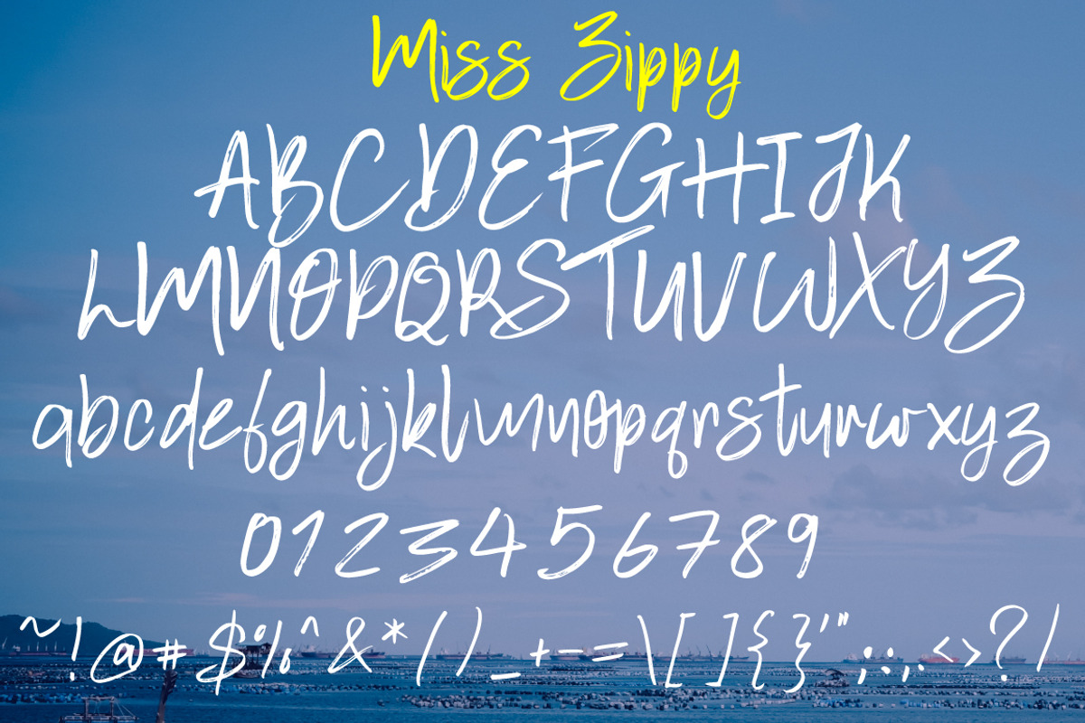 Miss Zippy | Chic Typeface preview 6