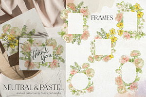 Neutral Pastel Background Flowers