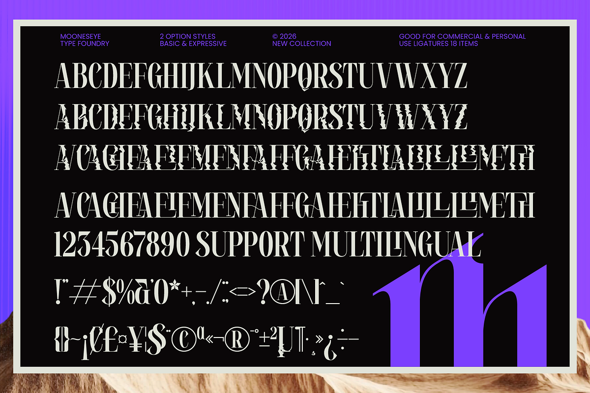 Rahext - Modern Experimental Serif, a Serif Font by MooneseyeType (Photo 2 of 8)