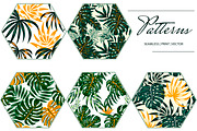 Tropical seamless patterns & leaves, a Pattern Graphic by EltaMaxArt (Thumbnail 5 of 15)