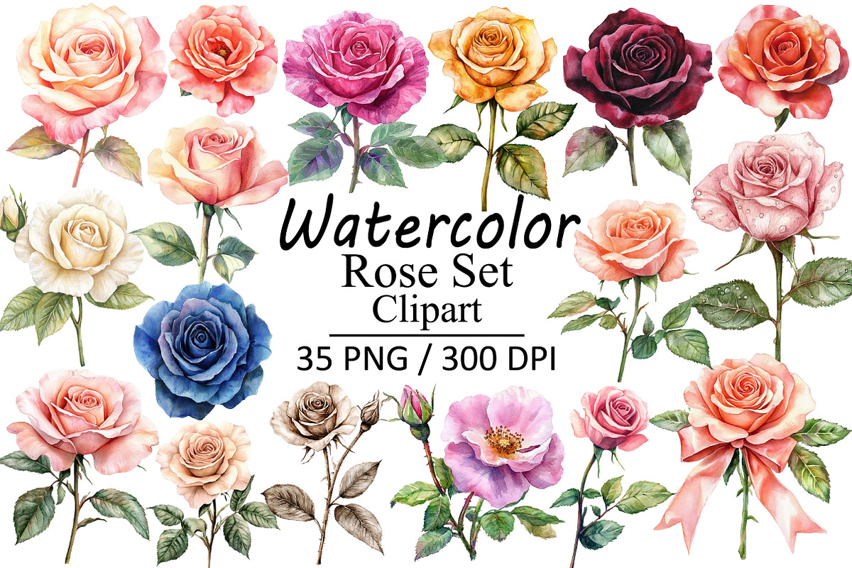 Watercolor Rose Clipart Set, an Illustration by Design Market (Photo 1 of 3)