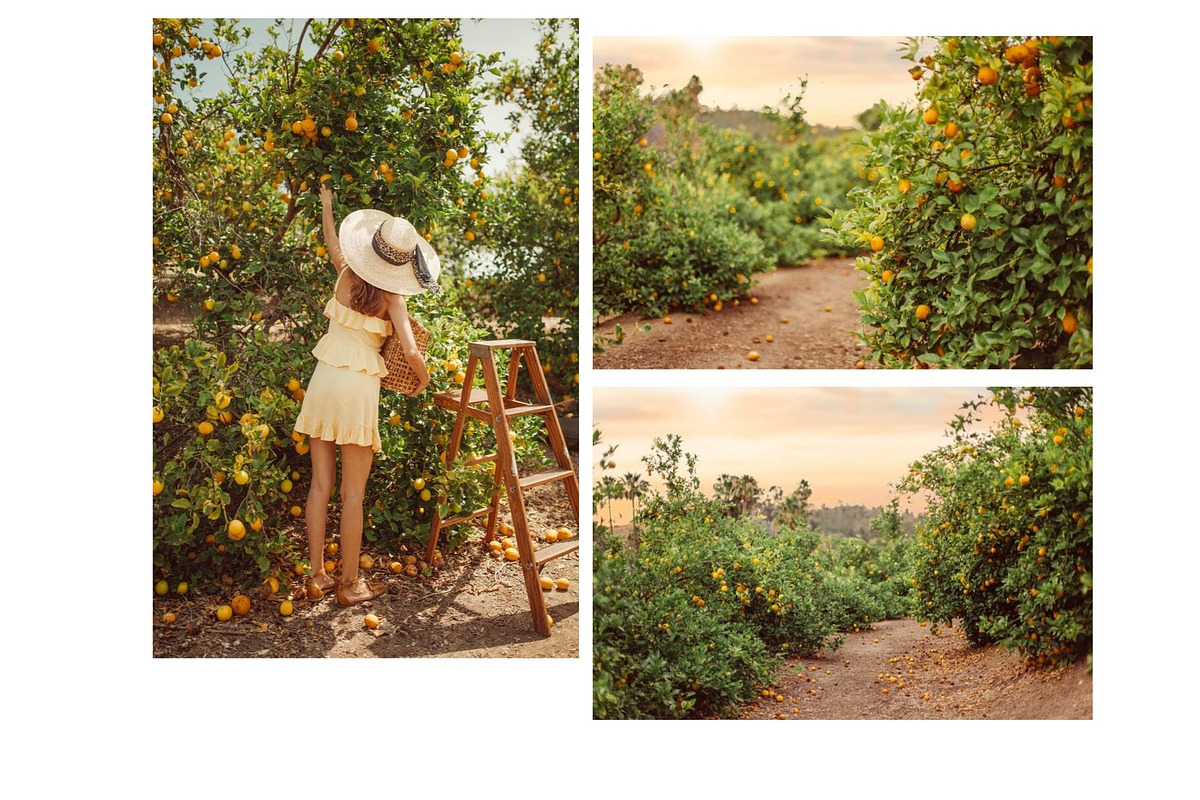 Limoncello Styled Stock Photo Bundle, a Background Photo by Munopia (Photo 3 of 7)