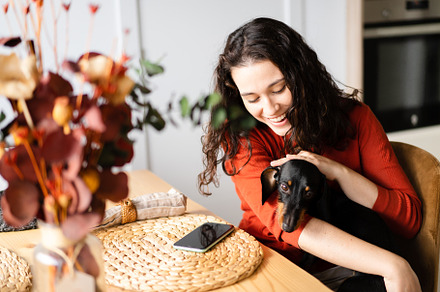 Happy young woman caressing her dachshund dog, a Person Photo by asife