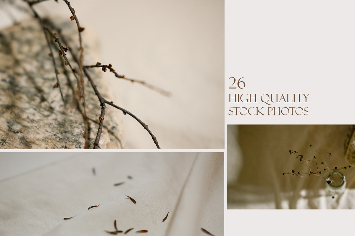 Solo - Card Mockup Photo Bundle, a Mockup by NataliArkushArt (Photo 12 of 17)