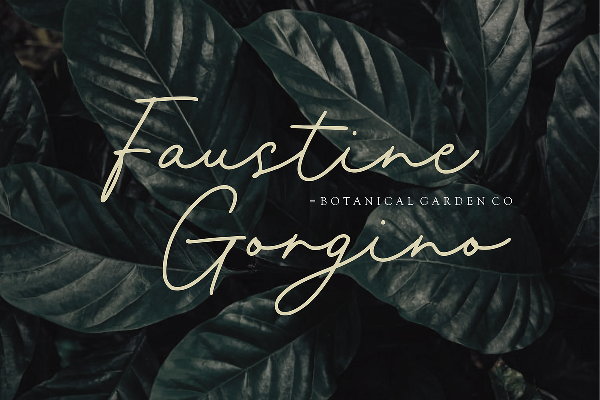 Farmhomes A Monoline Script, a Script Font by Allouse Studio (Photo 2 of 10)