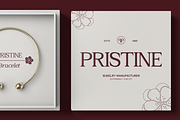GC Romans Flower - Elegant Serif, a Serif Font by Glyphonic (Thumbnail 7 of 15)