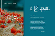 White Melony - New Signature Font, a Script Font by Indotitas (Thumbnail 4 of 8)