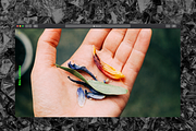 #MERKY, a Websites & App Template by Stash (Thumbnail 5 of 5)