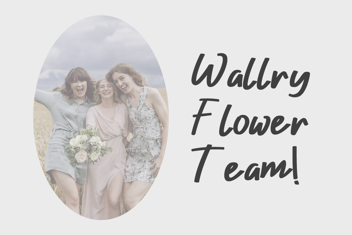 Harisa Wolly Handwritten Font., a Handwritten Font by VectorCraft (Photo 2 of 5)
