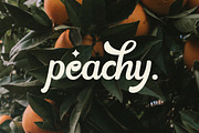 Modesty, a Symbol Font by Flawless And Co (Thumbnail 11 of 12)